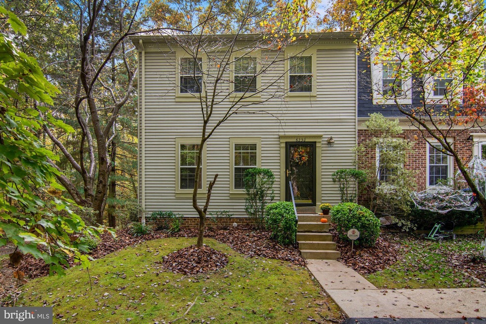 6230 Mockingbird Pond Terrace, Burke, VA 22015 - photo 1