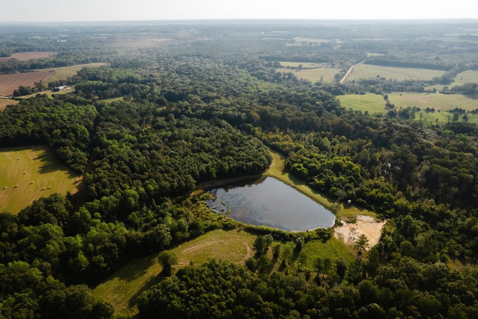 15816 Roberts Rd, Opp, AL 36467 - photo 1