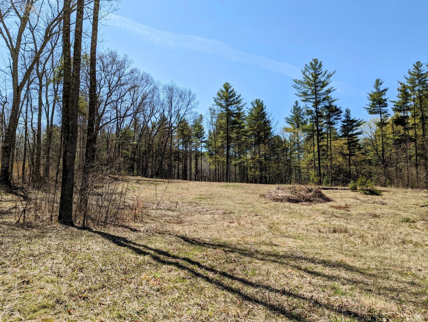Picture of Land