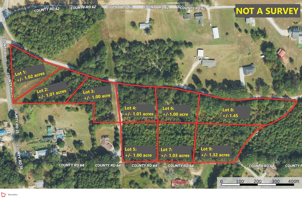 0 Lot 1 Sartain Rd unit 25-437, Dennis, MS 38838 - photo 1