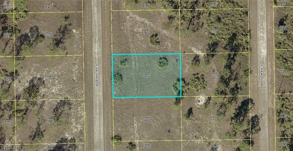 641 Mulberry Ave S, Lehigh Acres, FL 33974 - photo 1