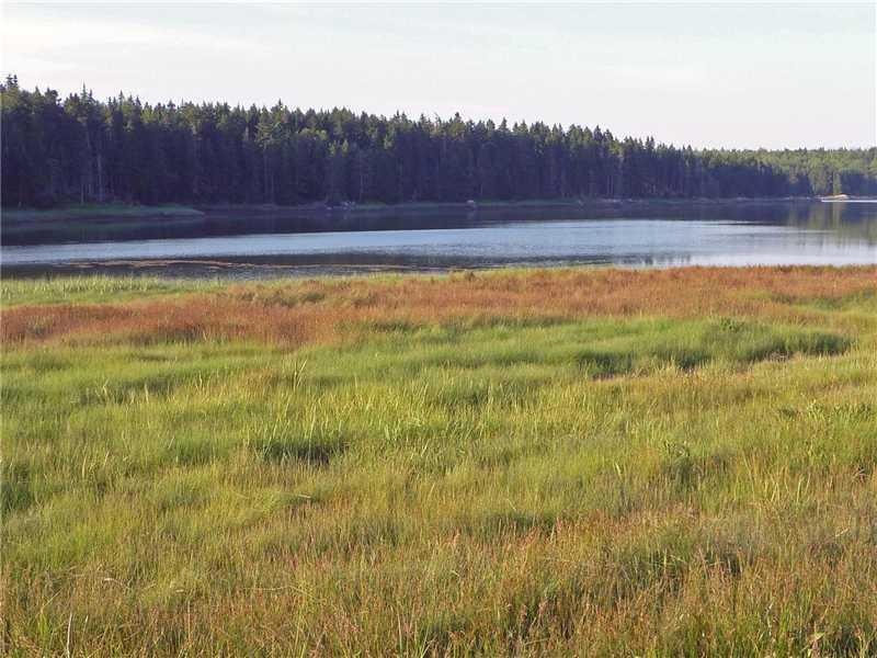 Land/Lot.