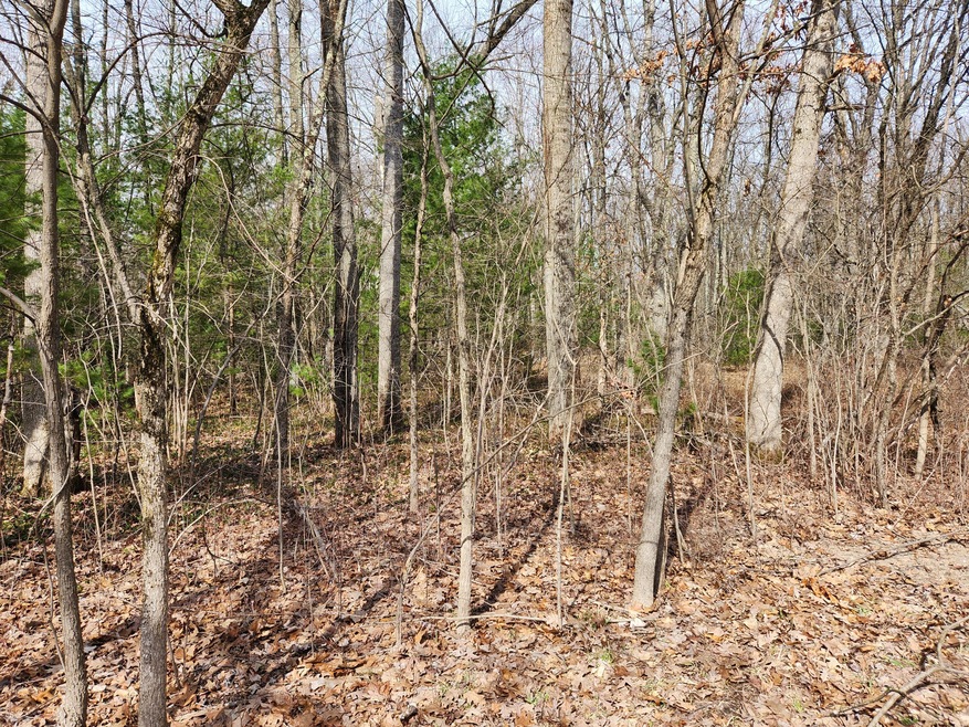 9125 N Bingham Ave, Bitely, MI 49309 - photo 1