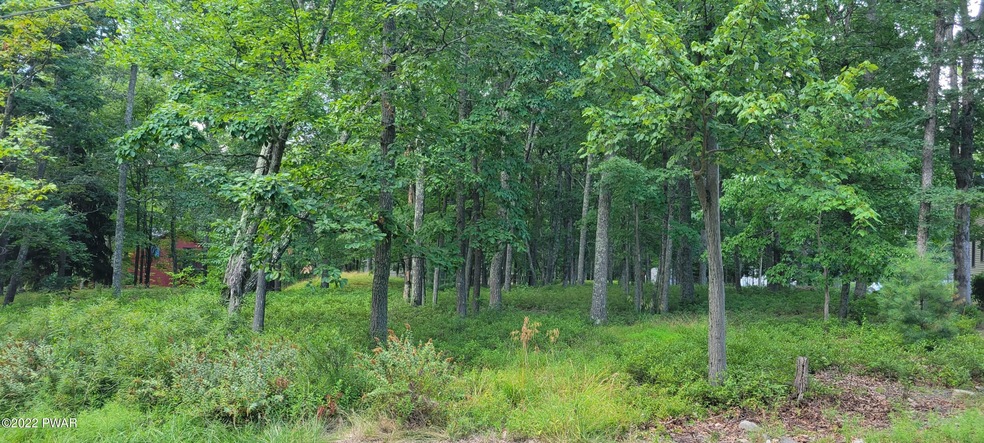 101 Surrey Ln, Lords Valley, PA 18428 - photo 1