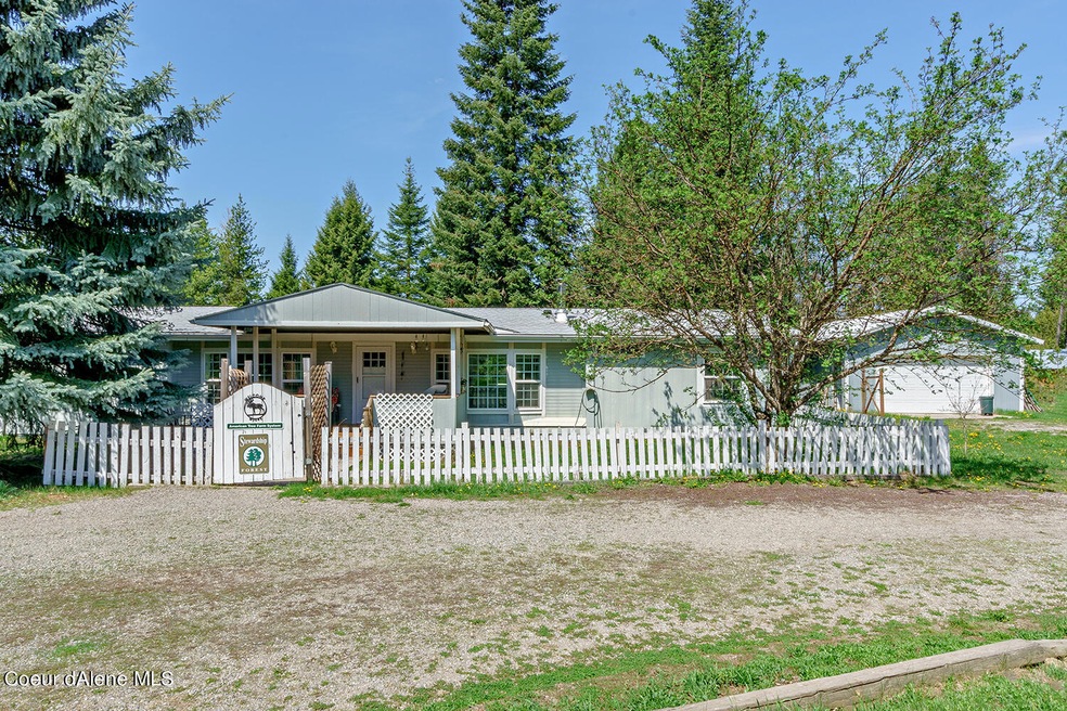 16677WILKINSON.01