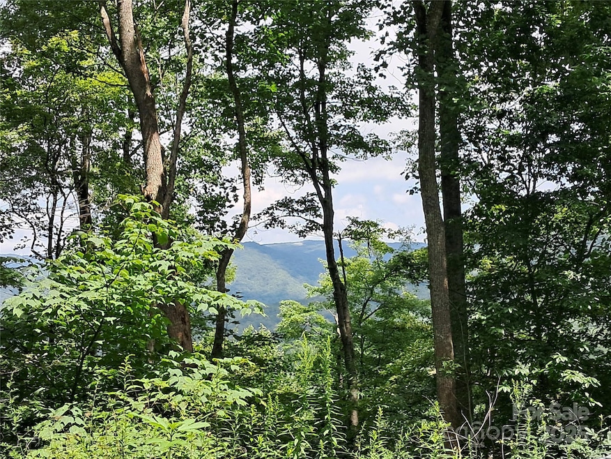 00 Hurricane Ridge Trace unit 53, Clyde, NC 28721 - photo 1