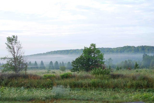 Main View