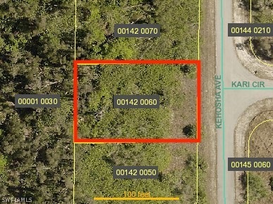 unlisted-address, Lehigh Acres, FL 33974 - photo 1