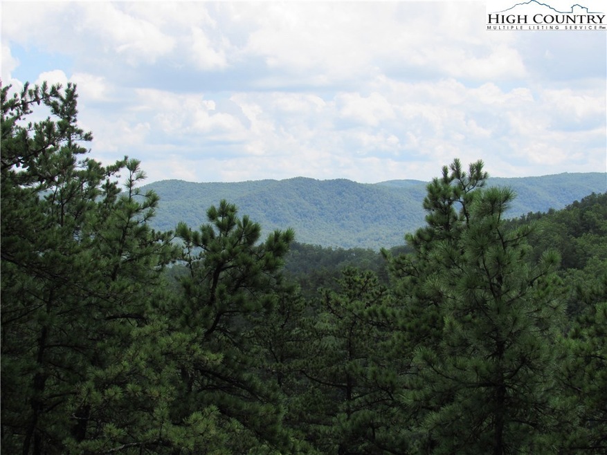 Lot 107 Nightshade Rd, Boone, NC 28607 - photo 1