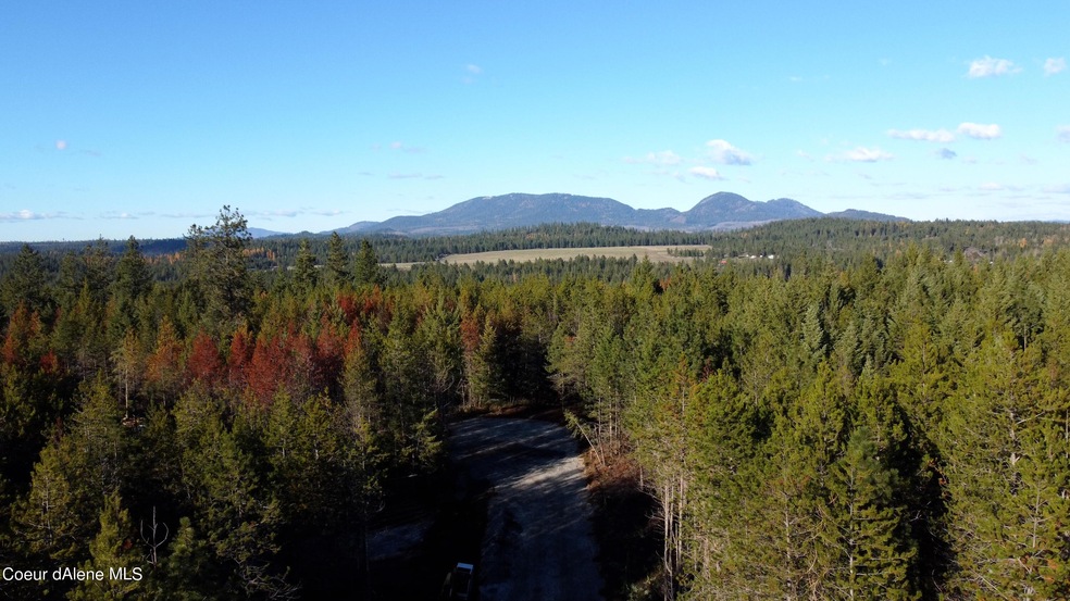 Lot 3 Tequila Way, Athol, ID 83801 - photo 1