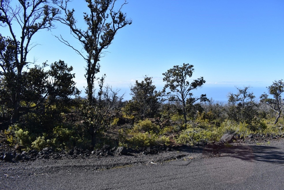 Hawaiian Ocean View Estates - lovely ocean view lot on Sea View Drive