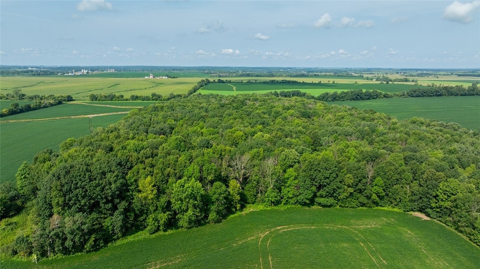 0 140th Ave unit 1597483, Glenwood City, WI 54013 - photo 1