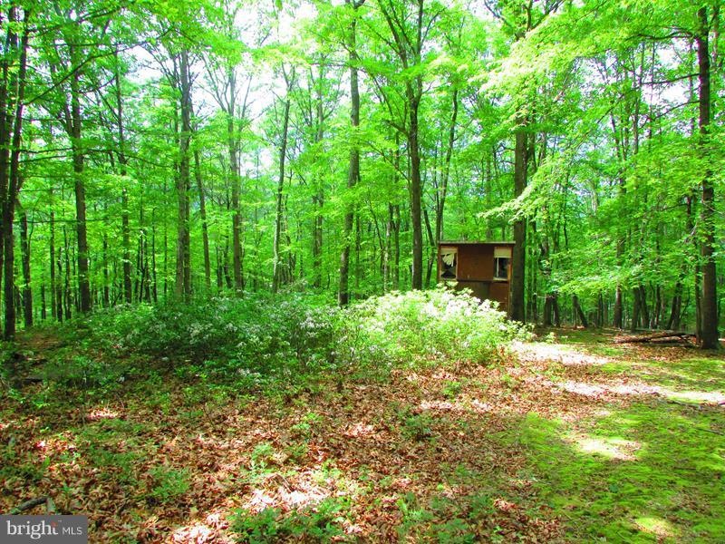 13 Rock Slide Way, Romney, WV 26757 - photo 1