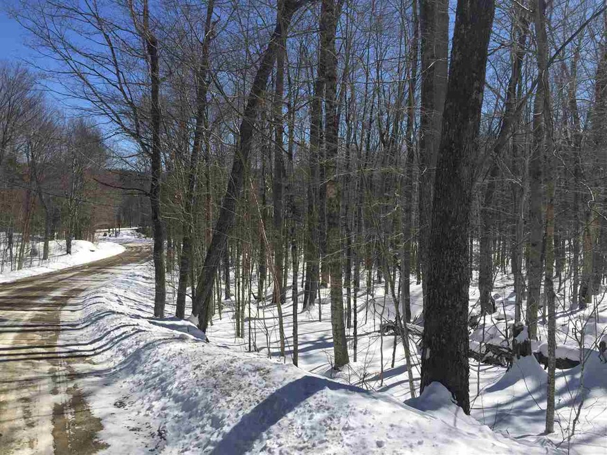 143 & 151 Tigola unit 143 & 151, Stoddard, NH 03464 - photo 1