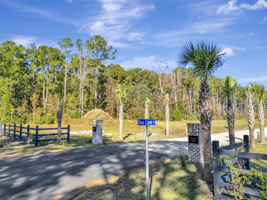 3021 Doar Creek Trail, Awendaw, SC 29429 - photo 1