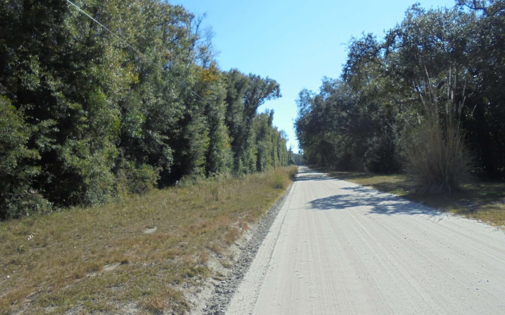 0 Suwannee Woodlands Ln, O'Brien, FL 32071 - photo 1