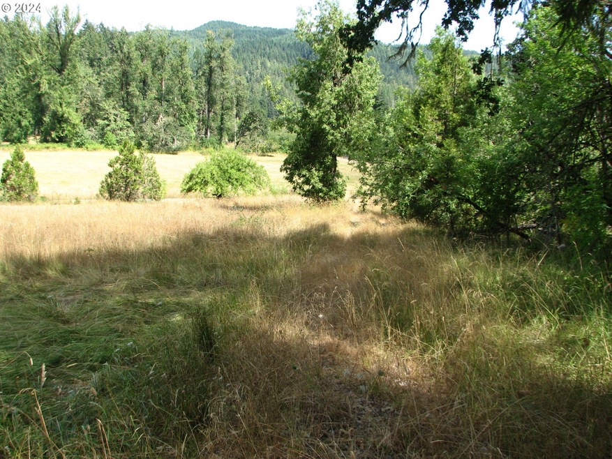 31342 Firview Ln, Creswell, OR 97426 - photo 1