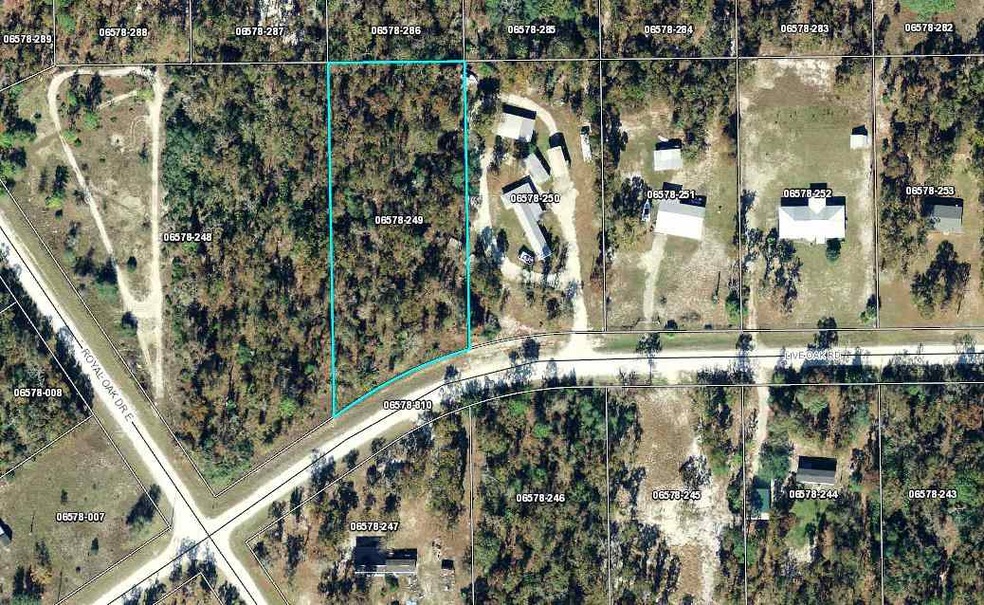 0 Live Oak Rd unit 286233, Keaton Beach, FL 32348 - photo 1