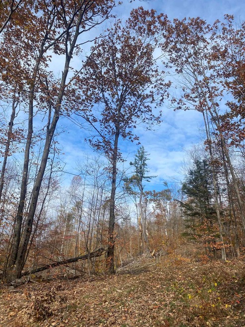 0 Colony Mine unit 4898845, Alstead, NH 03602 - photo 1