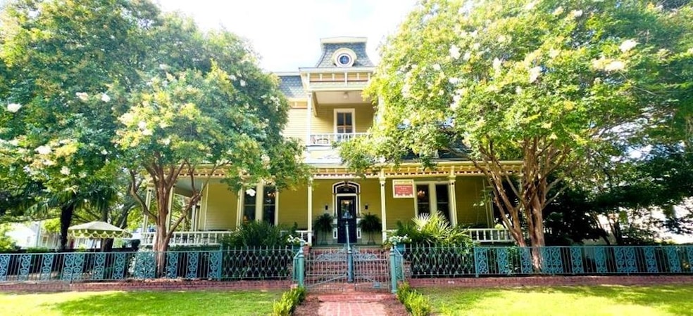 Main View