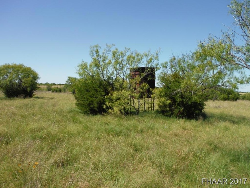 Tract 15 Private Road 3642, Copperas Cove, TX 76522 - photo 1