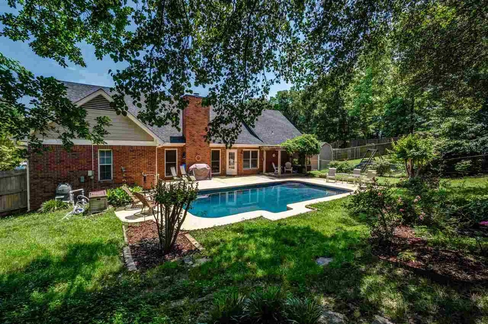 Get Ready For Summer Fun With Your Own Backyard Oa
