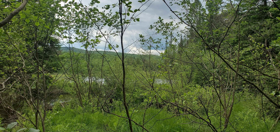 000 Bobbin Mill Rd, Lyman, NH 03585 - photo 1