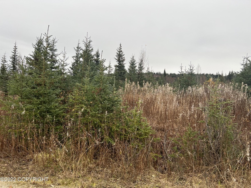 32814 Stacey Ln, Anchor Point, AK 99556 - photo 1