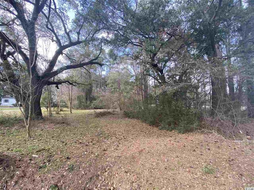 0 N Fraser St, Georgetown, SC 29440 - photo 1