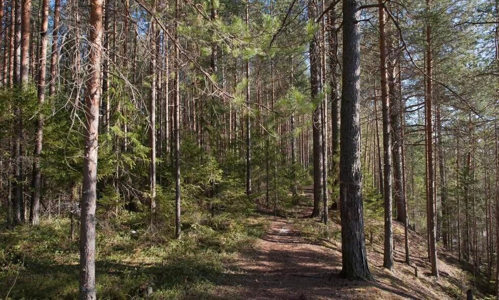 Sold $38,000 • Co-Listing Agent