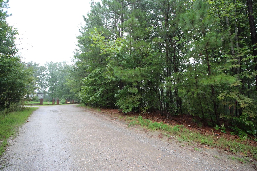 0 Jesse Trail unit SPN331210, Gaffney, SC 29341 - photo 1