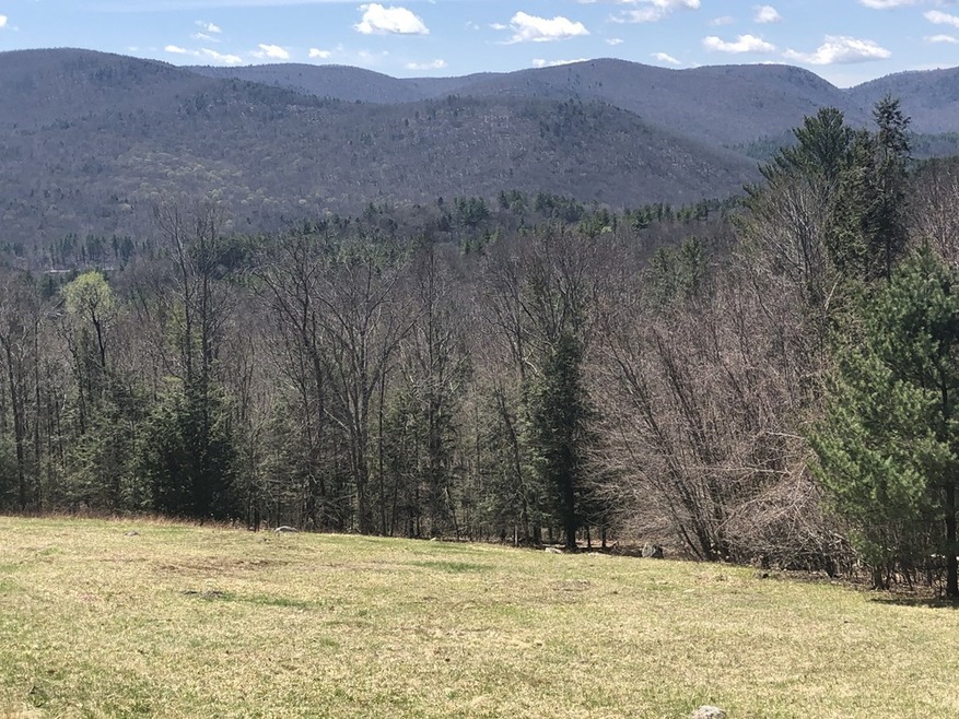 48 Potters Rd, Charlemont, MA 01339 - photo 1