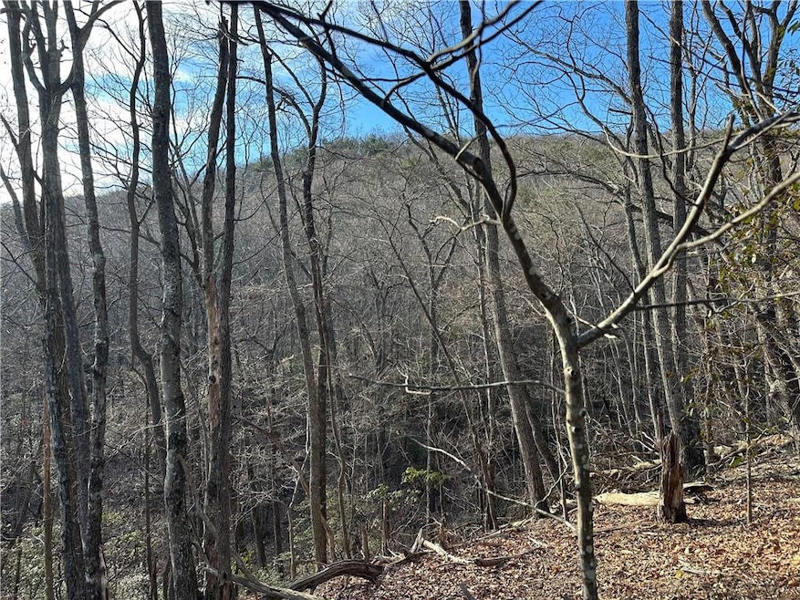 Lot 1141 Oglethorpe Mountain Road.