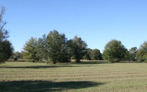 LOT63 Mandiba Dr, Lake City, FL 32024 - photo 1