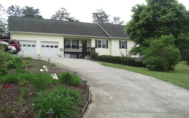 Main View