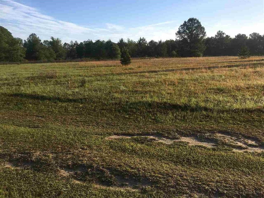 0 Standley Rd unit 280163, Monticello, FL 32344 - photo 1