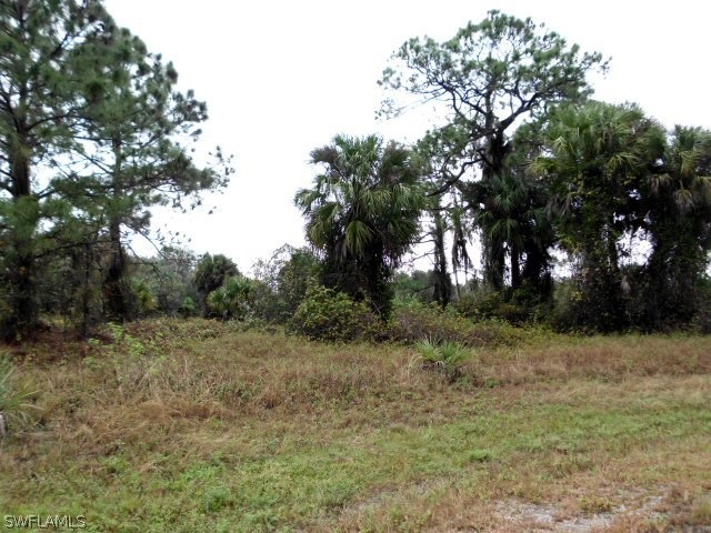 0 W Leader Ct unit 216005720, Labelle, FL 33935 - photo 1