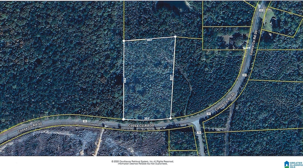 0 Coosa County Road 30, Rockford, AL 35136 - photo 1