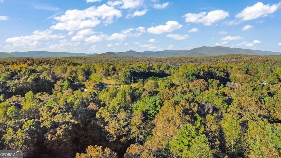 106 Oak Wood Trail, Ellijay, GA 30536 - photo 1