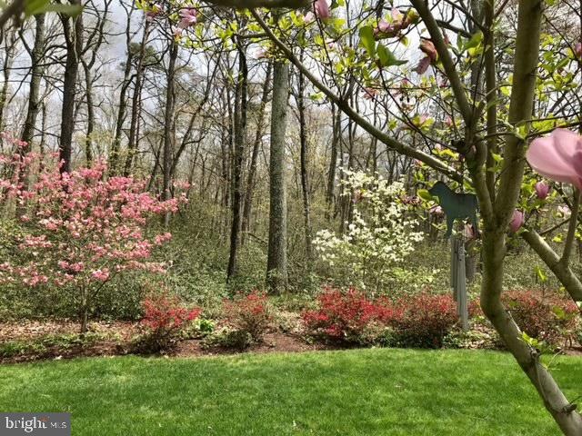 3 Great Bridge Ct, Medford, NJ 08055 - photo 1