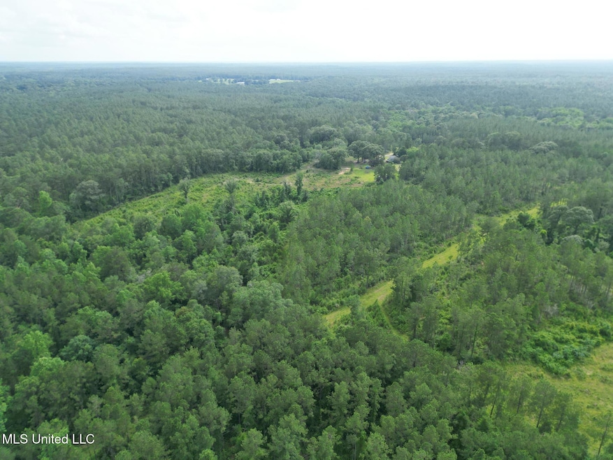 Nhn Tower Rd, Wiggins, MS 39577 - photo 1