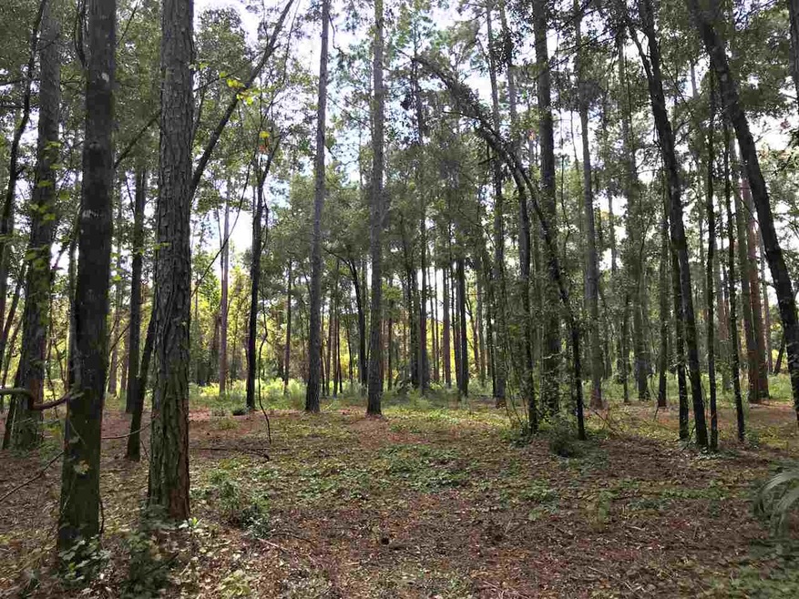 0 Casseaux Rd unit 296333, Crawfordville, FL 32327 - photo 1