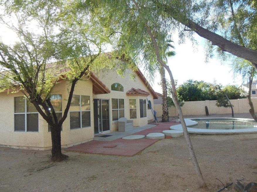 back yard