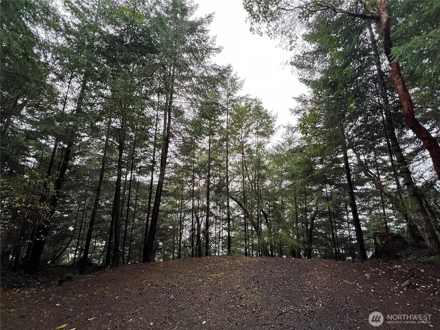 649 Shore Rd, Orcas Island, WA 98245 - photo 1