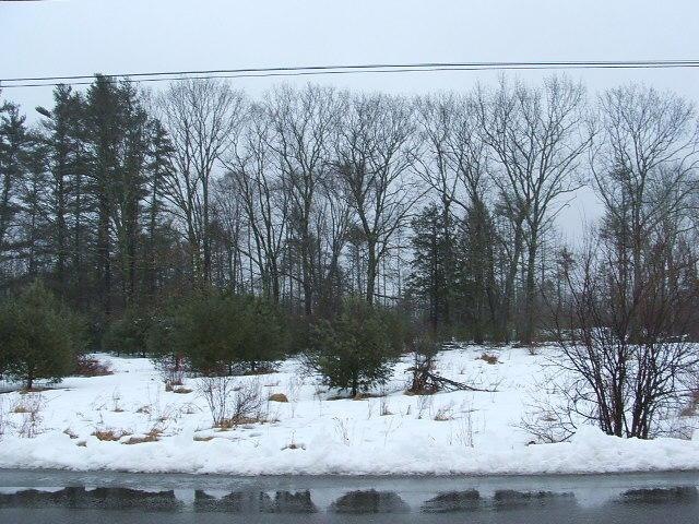 20 Wadlin Rd, Biddeford, ME 04005 - photo 1