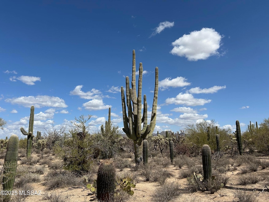 5120 W Lambert Ln, Oro Valley, AZ 85742 - photo 1