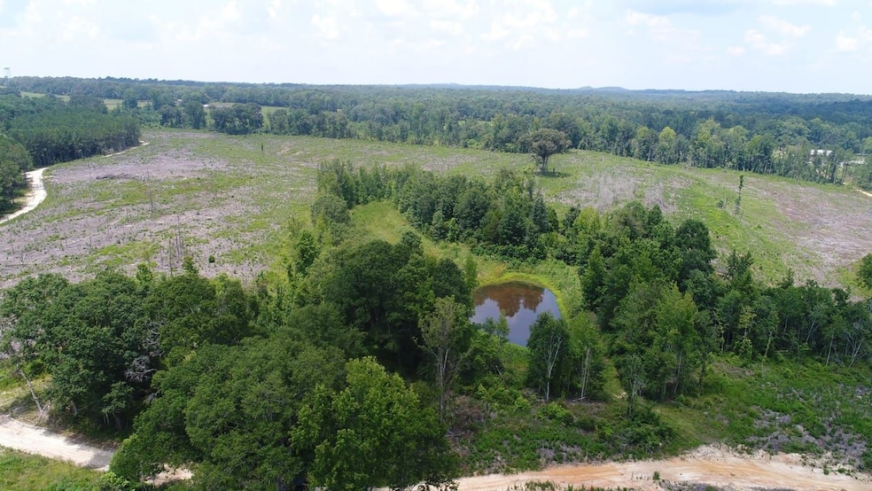 Old Meriwether Trail, Highland Home, AL 36041 - photo 1
