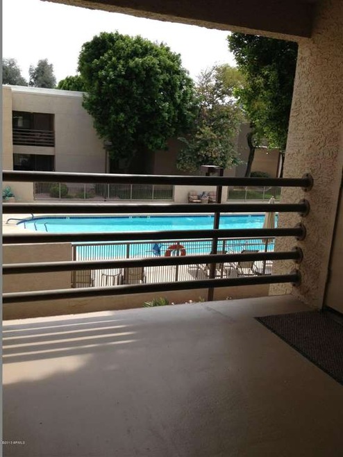 photo (12)