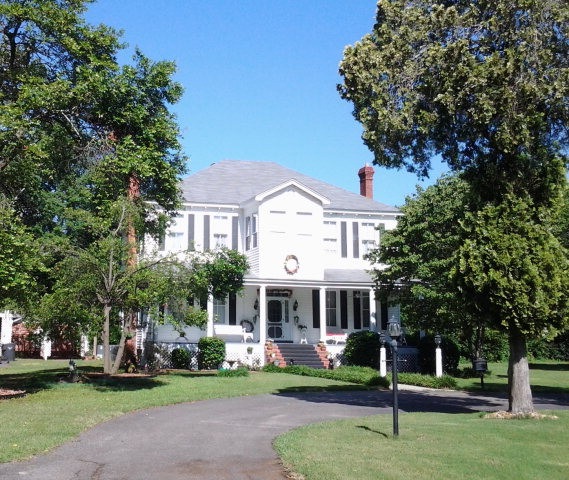 Main View