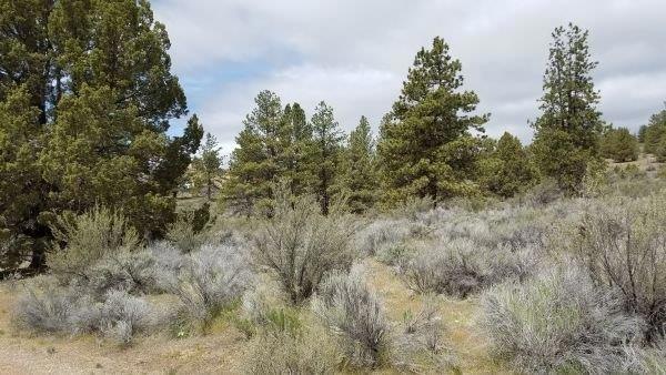 0 23 Council Butte unit 102976399, Beatty, OR 97621 - photo 1